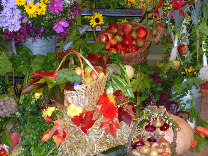 Erntedank - Blumenkorb Foto: Doris Geier